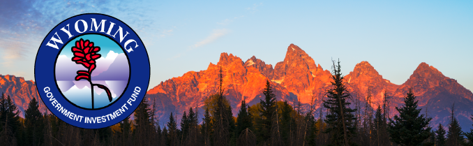 WGIF_RespHeader_R2-01 WGIF_RespHeader_R2-01